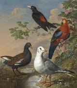Philip Reinagle A Moorhen, A Gull, A Scarlet Macaw and Red-Rumped A Cacique By a Stream in a Landscape oil painting on canvas